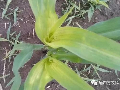 ���הQ����ô�k����ץ�o��Q��(hu��)Ӱ푮a(ch��n)��!!!