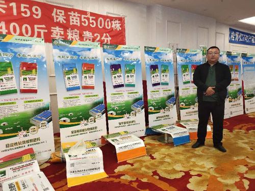 ������ӆ؛��(hu��)��Ƭ