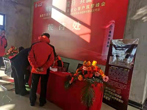 ����_������|����ʡ����